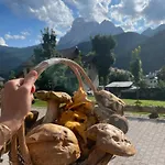 Oasi Hotel