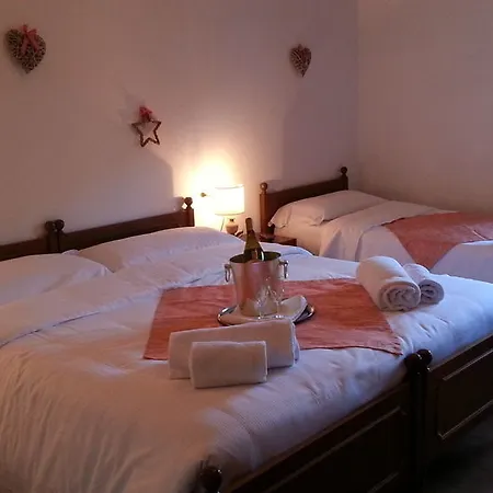 Отель Oasi 3*