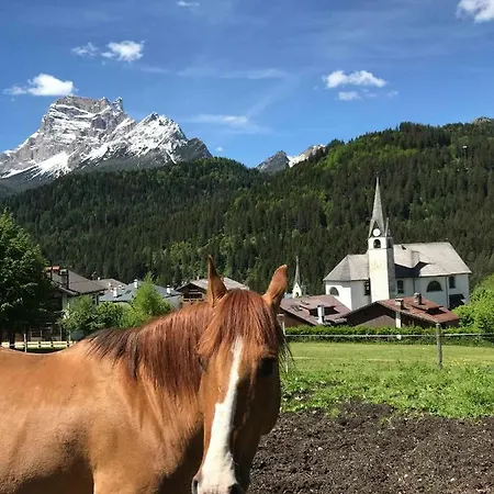 Oasi Hotel San Vito di Cadore