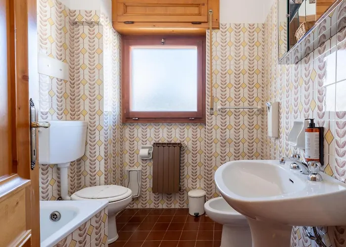 Oasi 3*