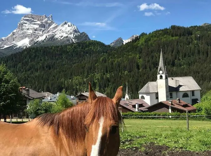 Oasi Hotell San Vito di Cadore